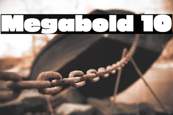 Megabold 1.0 Example 3