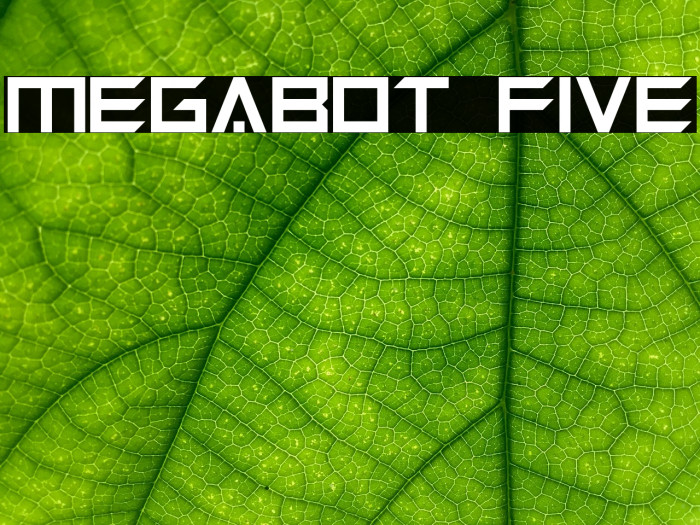 Megabot Five Font examples
