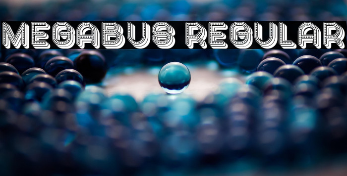 Megabus Regular Example 2