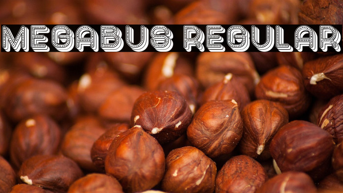 Megabus Regular Example 3