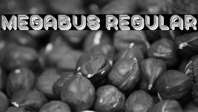 Megabus Regular Font examples