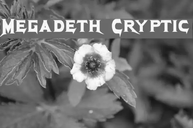 Megadeth Cryptic Example 2