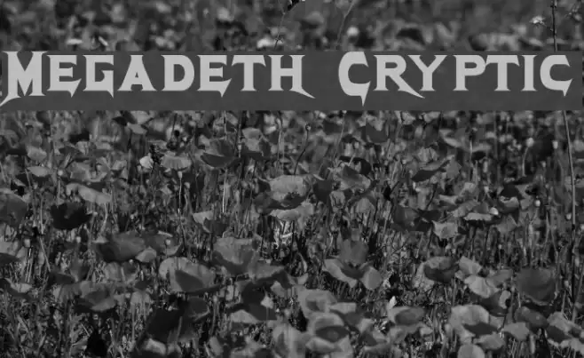 Megadeth Cryptic Example 3