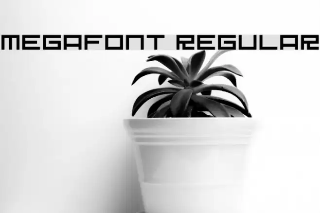Megafont Regular Font examples