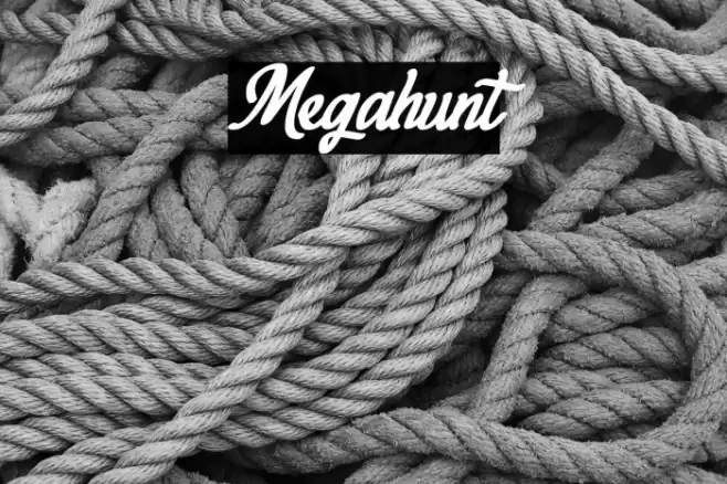 Megahunt Font examples