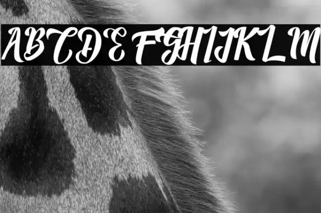 Megalia Font examples