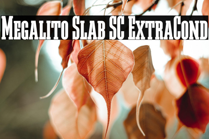 Megalito Slab SC ExtraCond Example 1