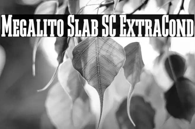 Megalito Slab SC ExtraCond Example 1
