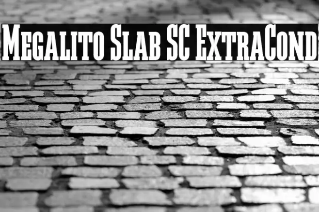 Megalito Slab SC ExtraCond Example 2