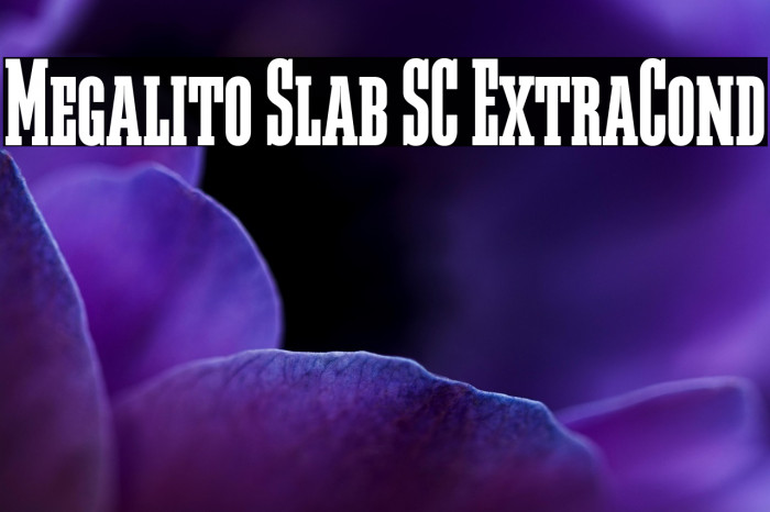 Megalito Slab SC ExtraCond Example 3