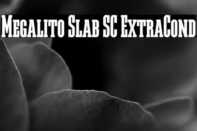 Megalito Slab SC ExtraCond Example 3