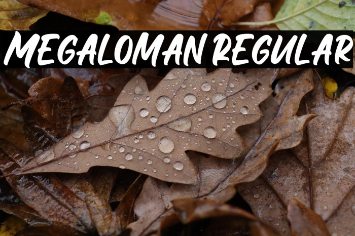 Megaloman Regular Example 3