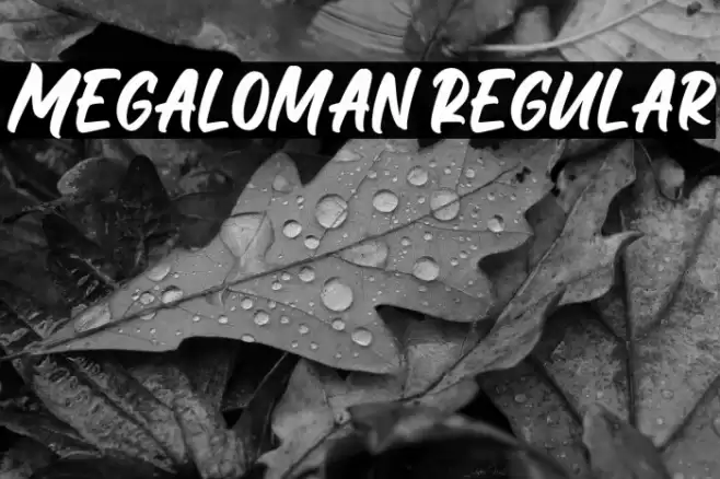 Megaloman Regular Font examples