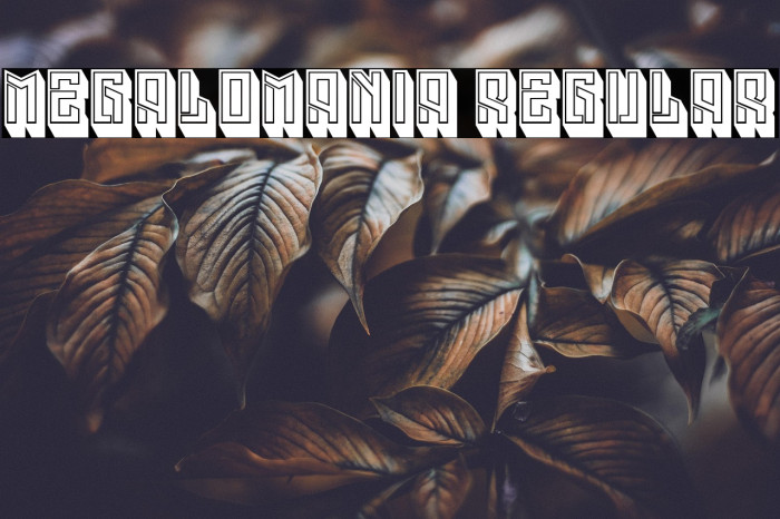 Megalomania Regular Example 3