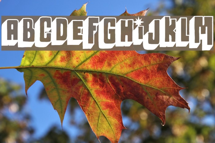 Megalopolis off Example 3