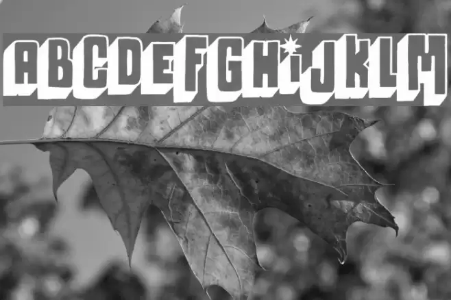 Megalopolis off Font examples