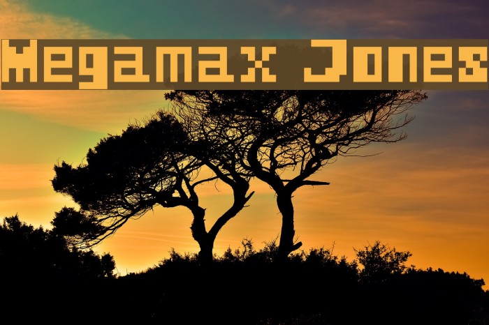 Megamax Jones Font examples