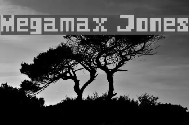 Megamax Jones Example 2