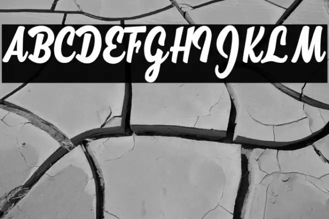 Megan Personal Use  Font examples