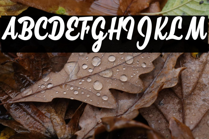 Megan Personal Use  Example 3