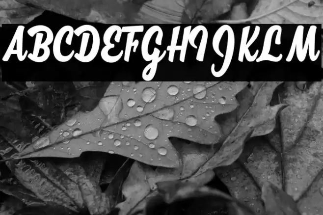 Megan Personal Use  Font examples