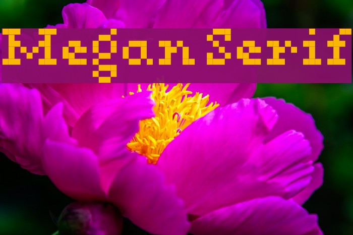 Megan Serif لخطوط تنزيل examples