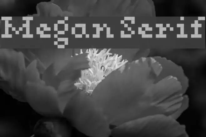 Megan Serif Font examples