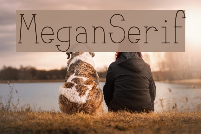 MeganSerif Font examples