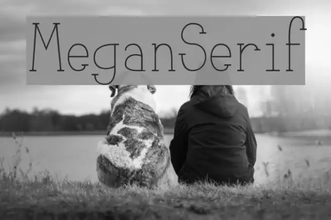 MeganSerif Example 1