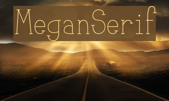 MeganSerif Font examples