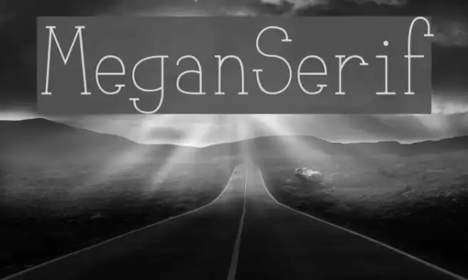 MeganSerif Example 2