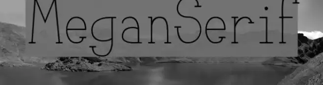 MeganSerif Example 3