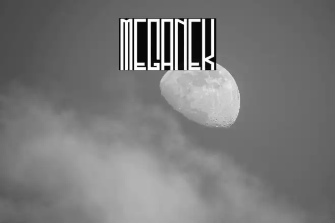 Meganek Example 1