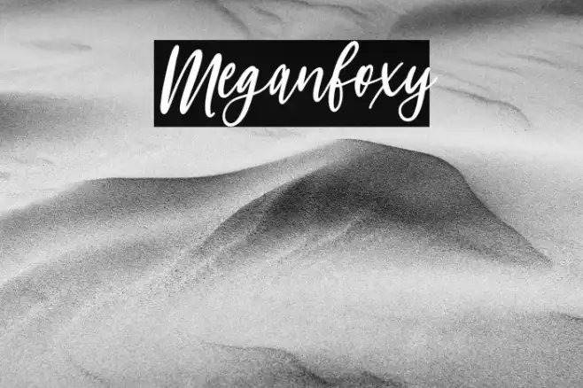 Meganfoxy Example 1