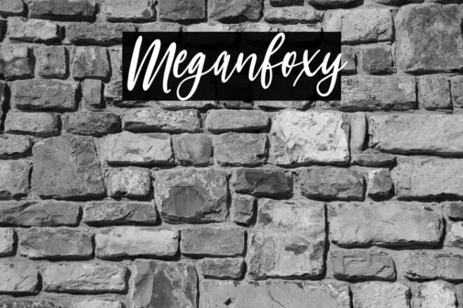 Meganfoxy Example 2