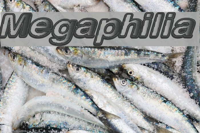 Megaphilia Font examples