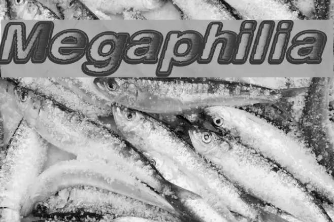 Megaphilia Example 1