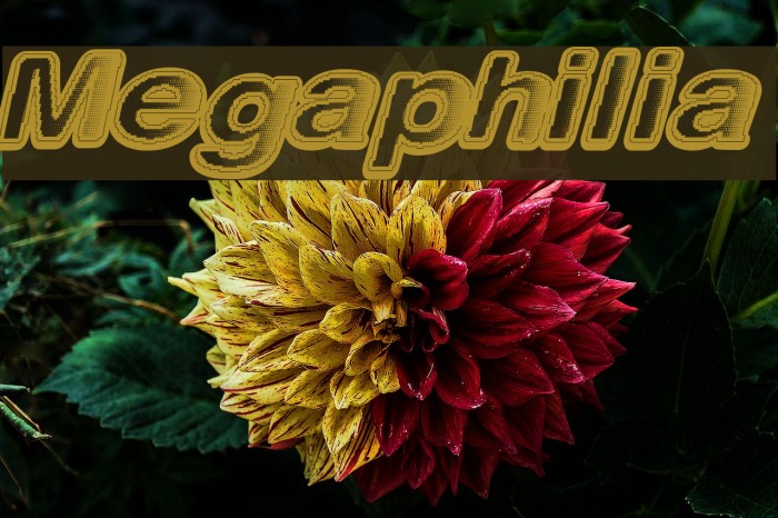 Megaphilia Font examples
