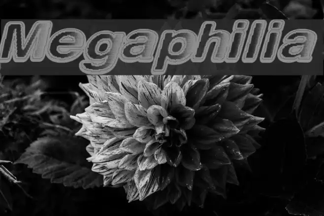 Megaphilia Example 3