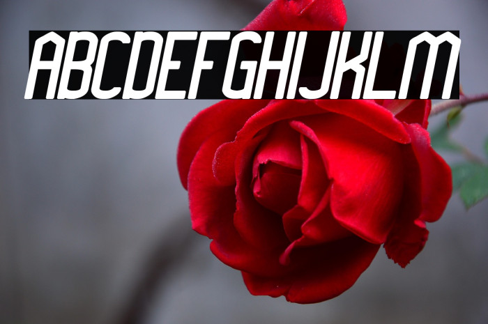 Megapolitan Jakarta Bold Italic Example 2