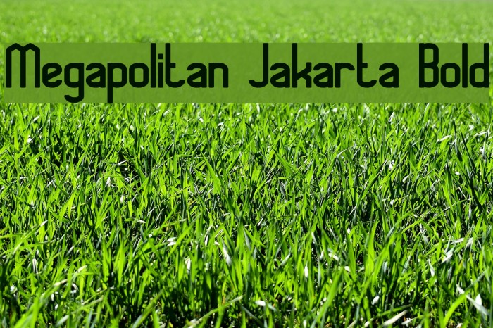 Megapolitan Jakarta Bold Font examples