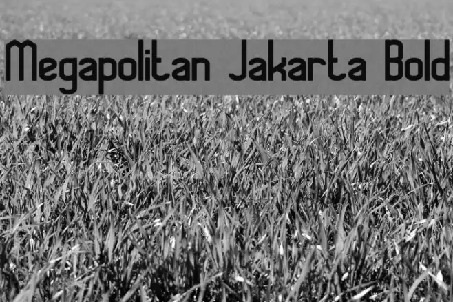 Megapolitan Jakarta Bold Example 1