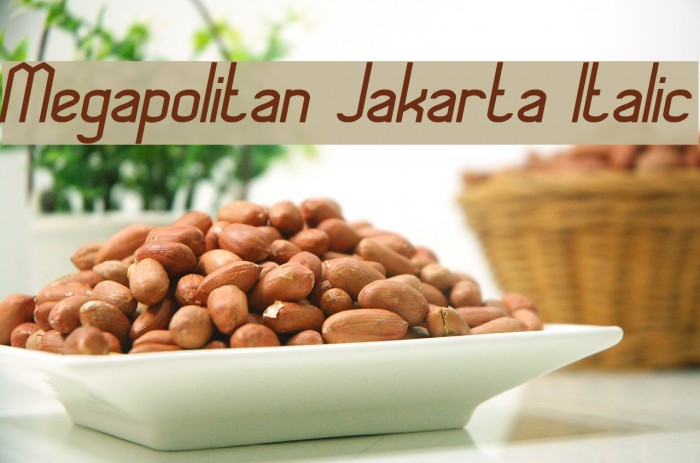 Megapolitan Jakarta Italic Font examples