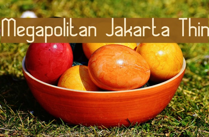 Megapolitan Jakarta Thin Font examples