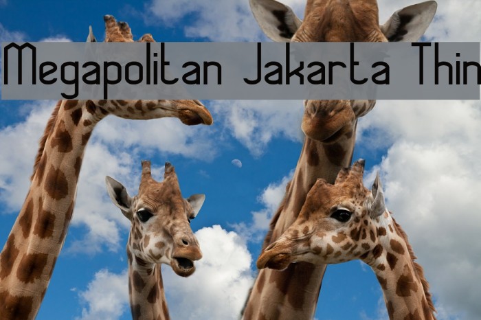 Megapolitan Jakarta Thin Font examples