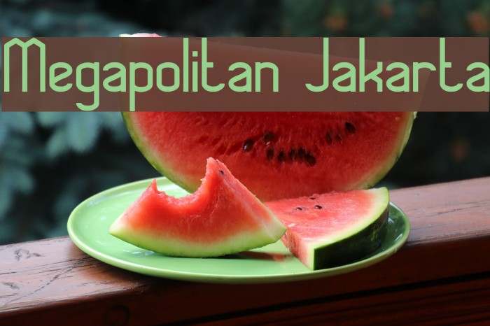Megapolitan Jakarta Example 1