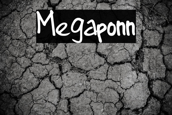 Megaponn Example 1
