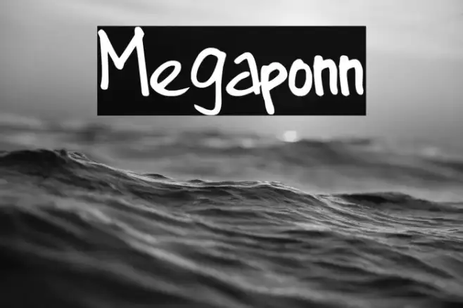 Megaponn Example 2