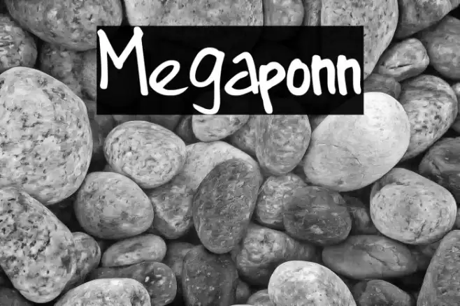 Megaponn Example 3