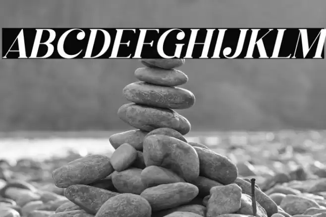 Megasta Signateria Serif Italic Caratteri examples